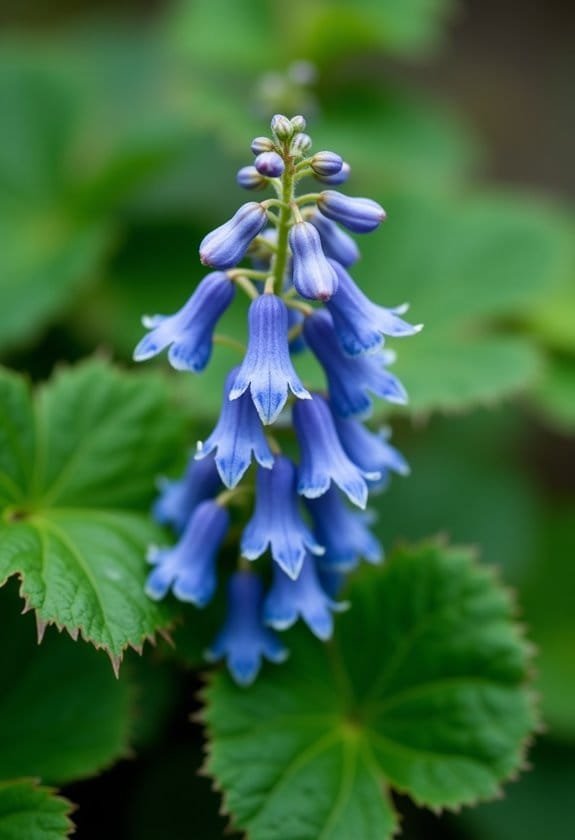 proper care techniques needed